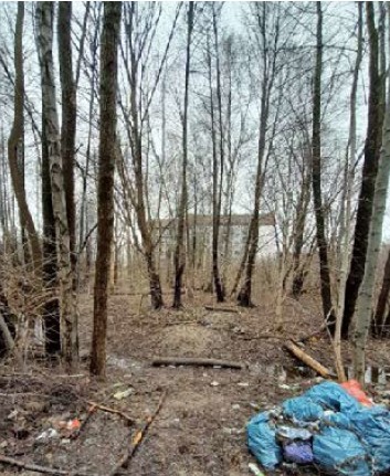 Obecny zaniedbany fragment terenu z gałęziami i odpadami